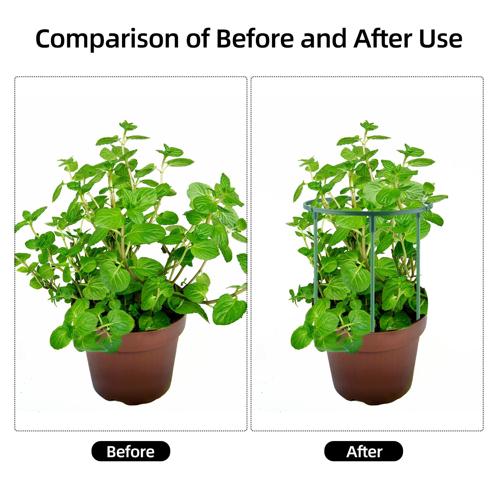 Motroce green garden border stake provides discreet, durable plant support.