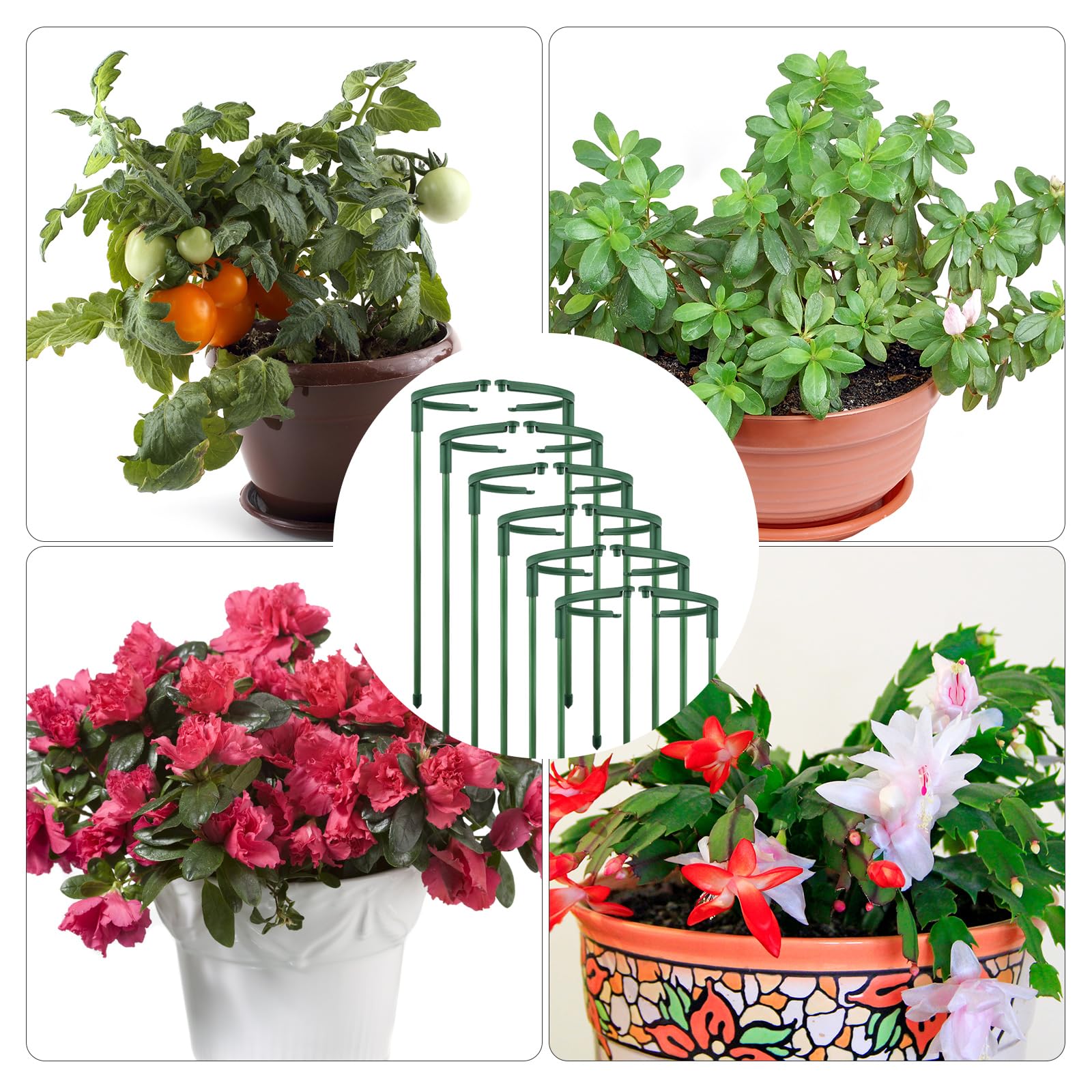 Motroce soil-insert stake allows quick installation and adjustable height.