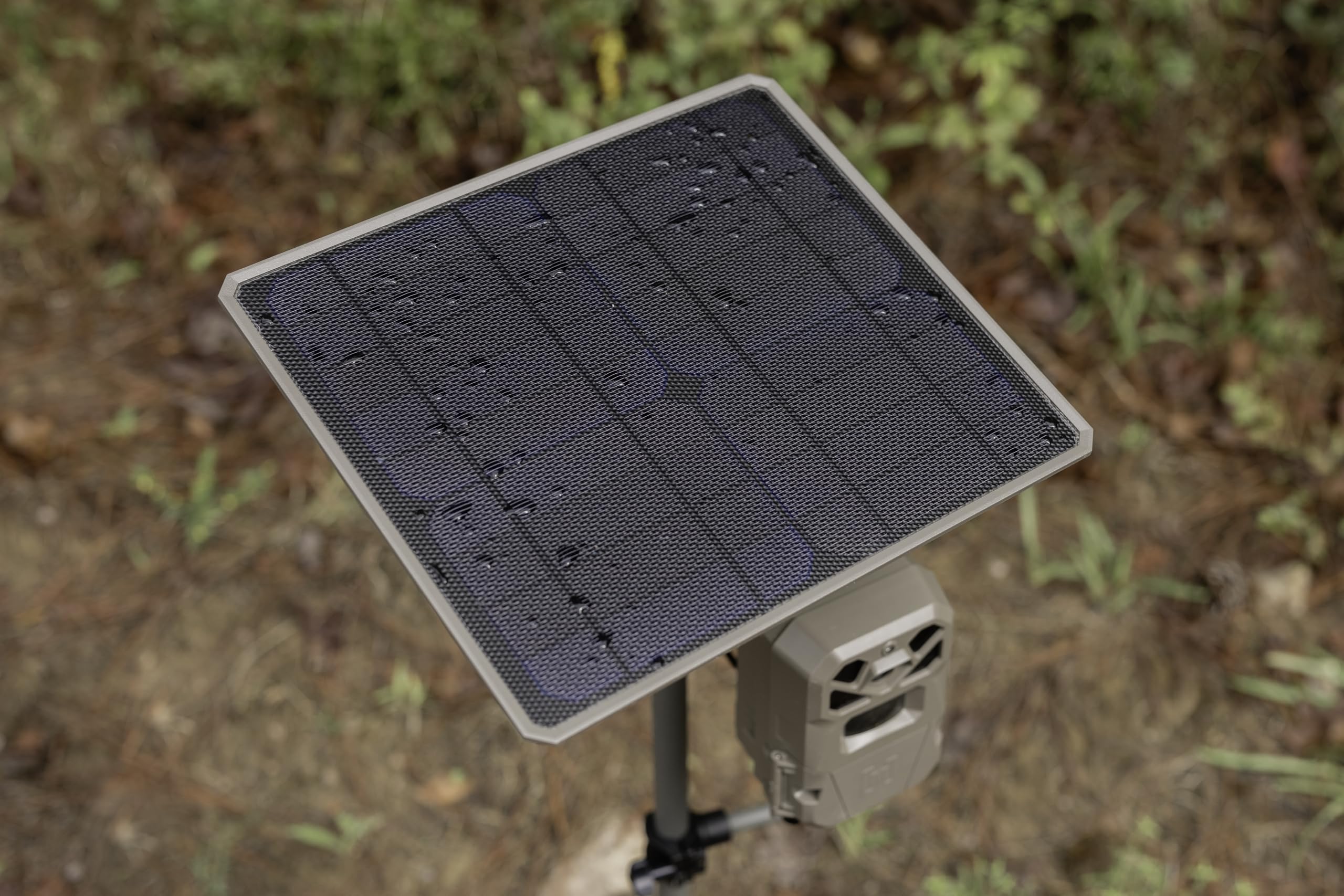 Moultrie app shows live solar charge status and battery usage