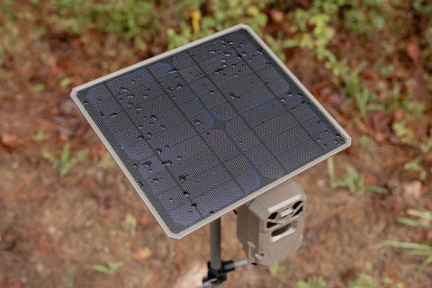 Moultrie app shows live solar charge status and battery usage