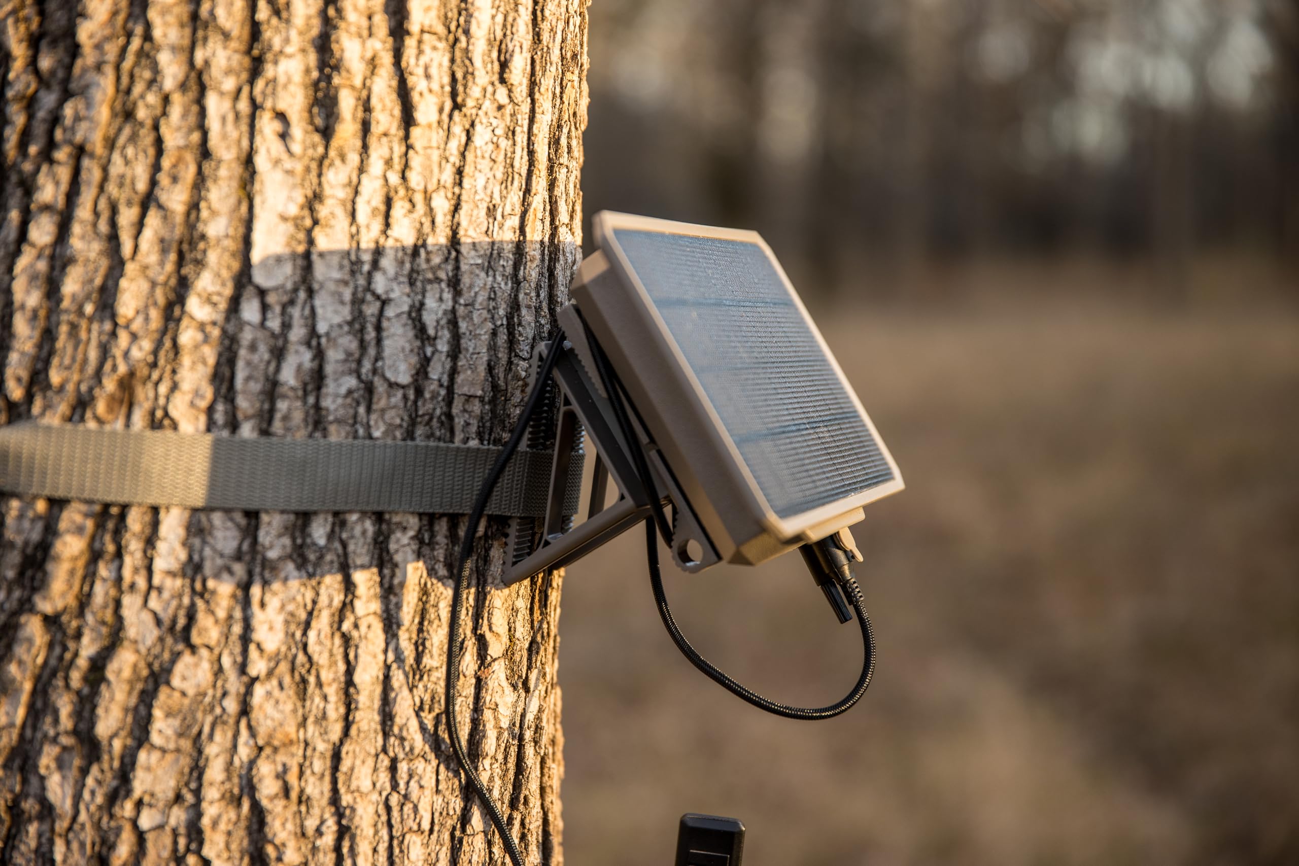 Moultrie Solar Panel Power Pack II weatherproof design withstands sun and rain.