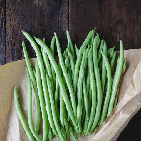 Mountain Valley Blue Lake Bush Bean seed pack promotes reliable germination for home gardens.