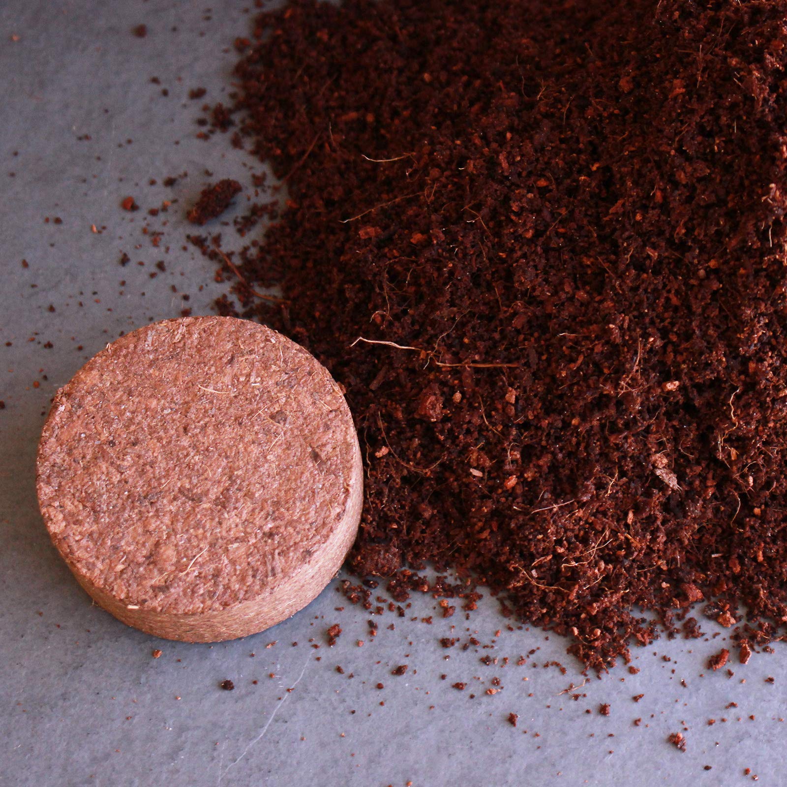 Minute Soil disc expands up to 15 times with water for ready soil