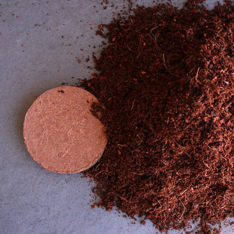Compact discs expand to form soil-like medium from coconut coir for potting projects.