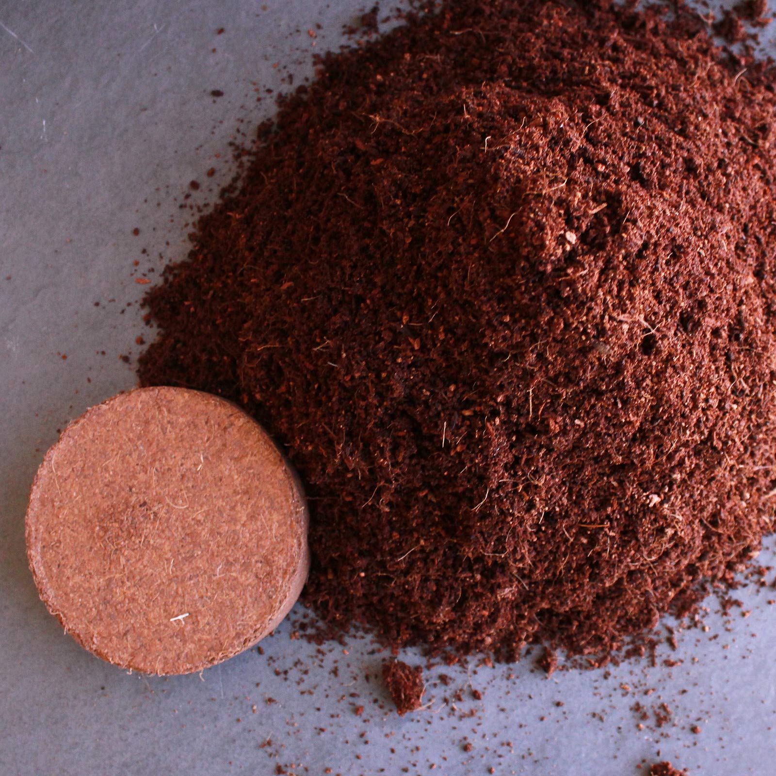 Expanded Minute Soil boosts water retention for healthier root development.
