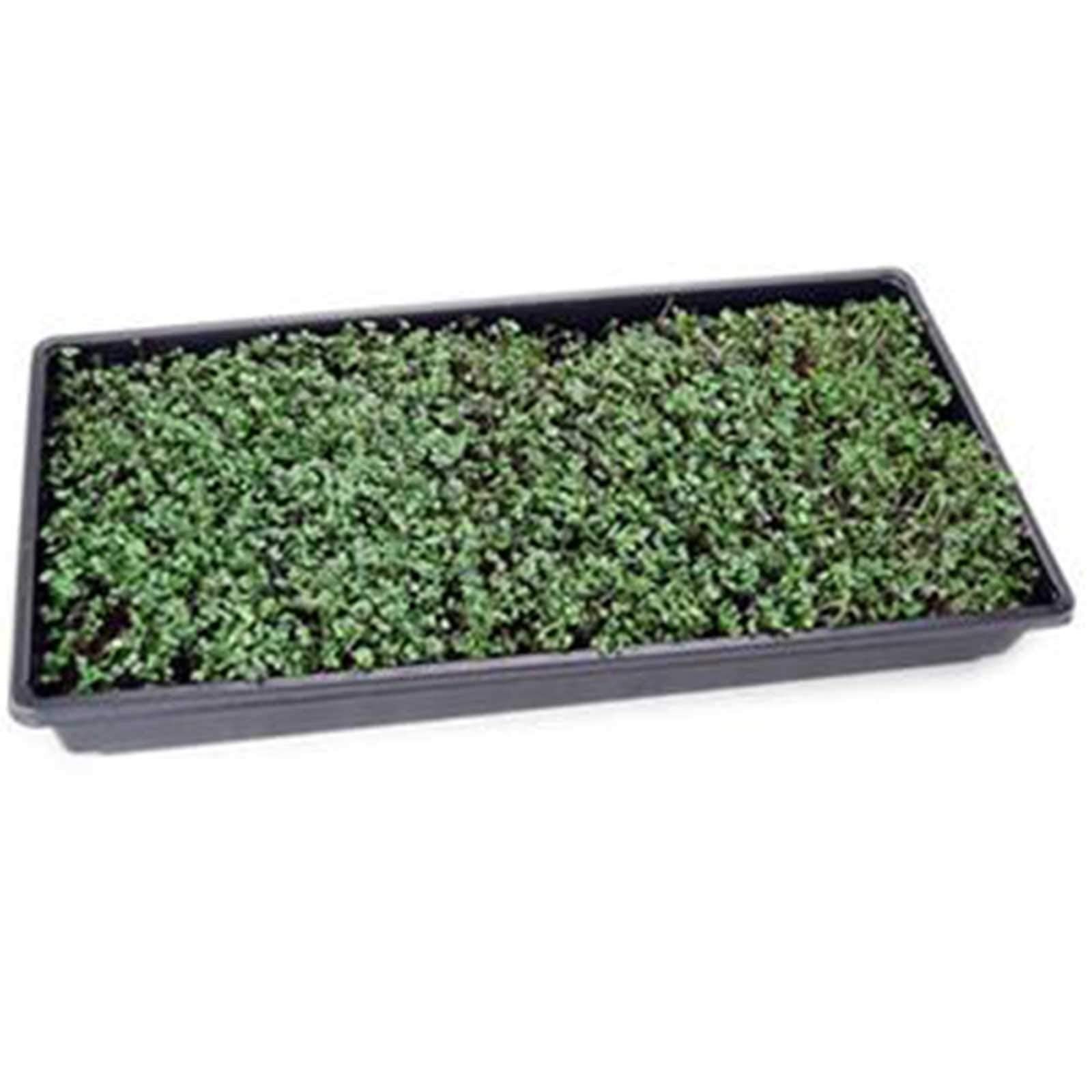 Mountain Valley Non-GMO Seeds Label, transparent sourcing for peace of mind.
