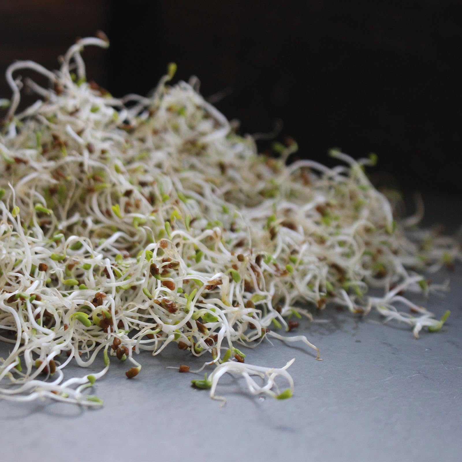 Organic, Non-GMO Mountain Valley soybeans ideal for fresh sprouts and tofu.