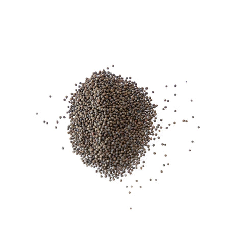 Mountain Valley Red Acre microgreens show crisp, peppery notes ideal for quick harvest