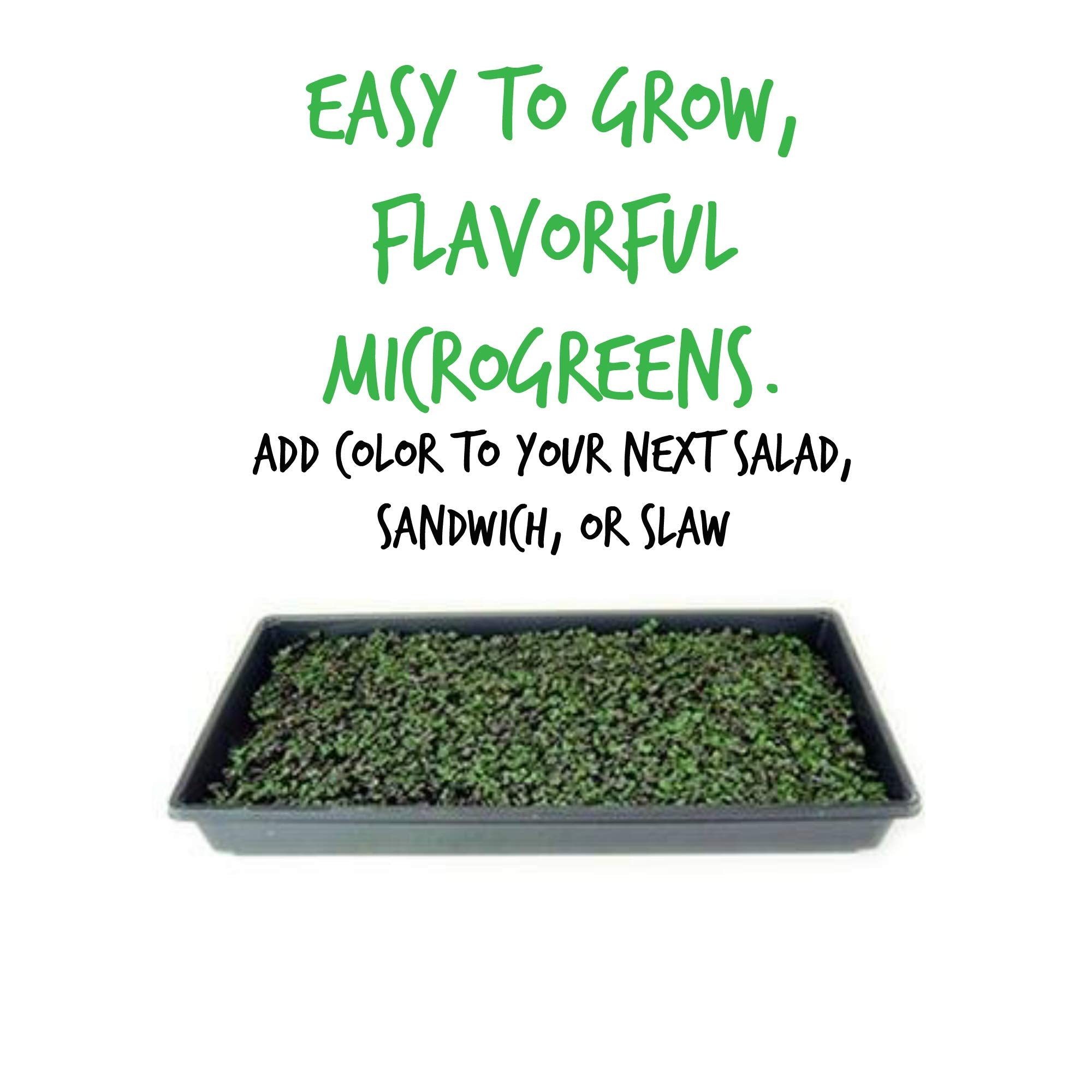 Germination-ready Red Acre seeds from Mountain Valley promise vibrant sprouts with reliable germination