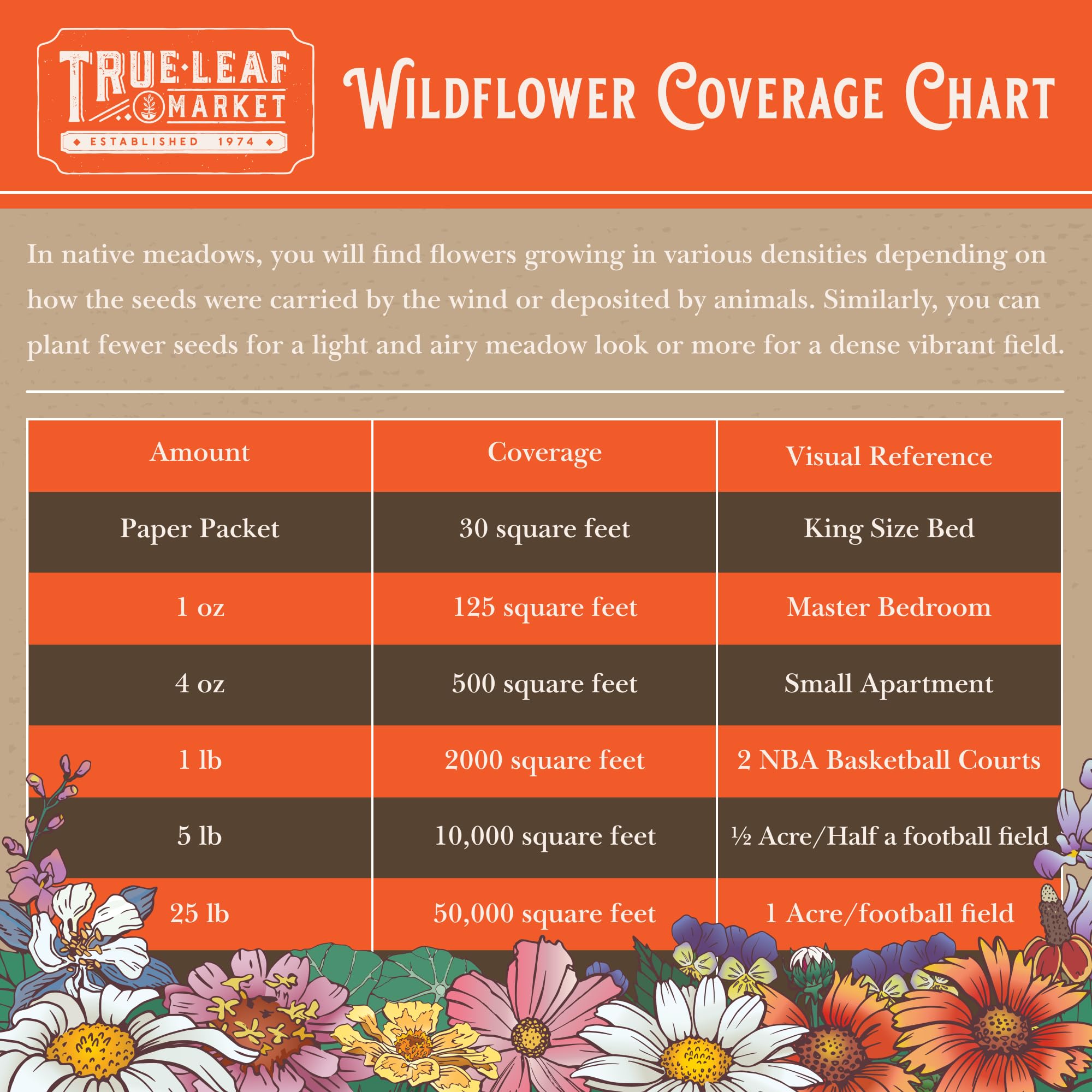 Butterflies and hummingbirds visit Mountain Valley Seed Company wildflower mix