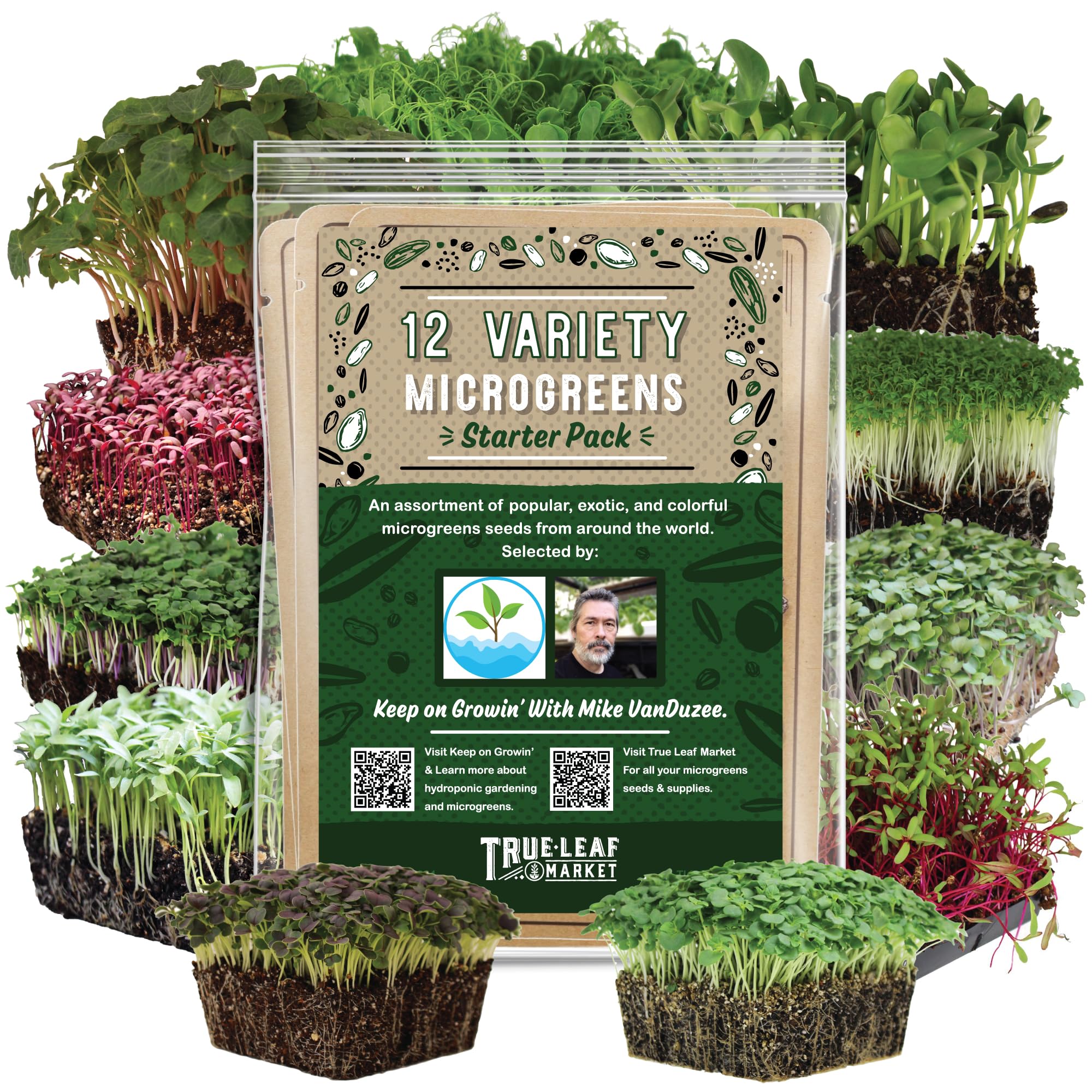 Mountain Valley Seed Company broccoli sprouts kit for easy home sprouts and color