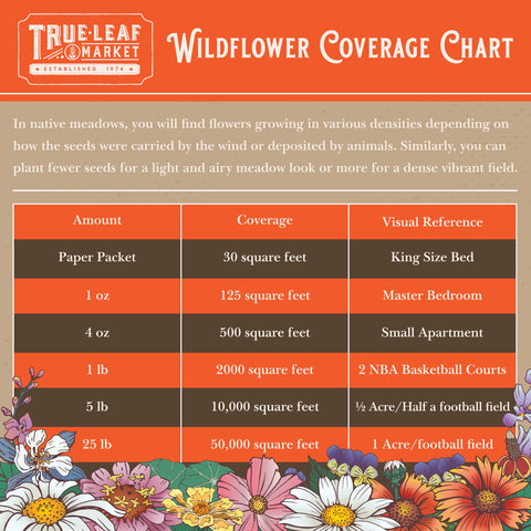 Mountain Valley Seed Co seeds cover large area with simple sowing