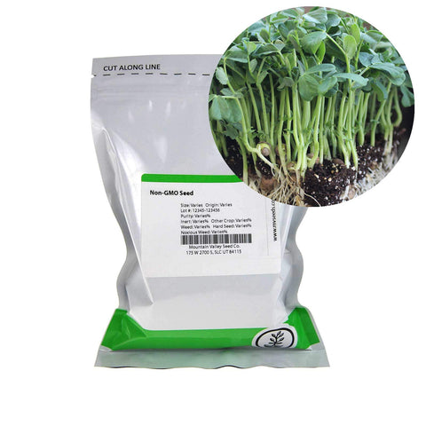 Mountain Valley Seed Company green pea sprouts close-up reveal vibrant color and crisp texture