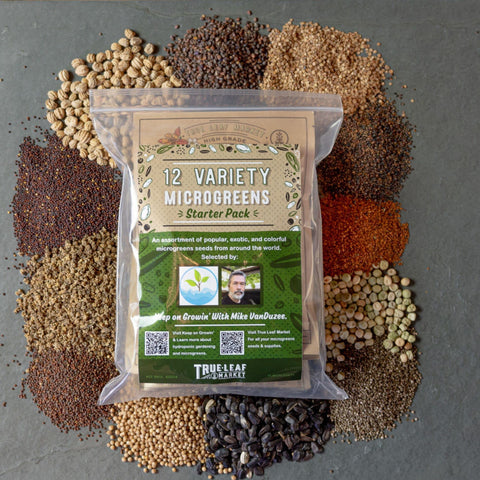 Mountain Valley Seed Company Korean shiso microgreens for aromatic lift