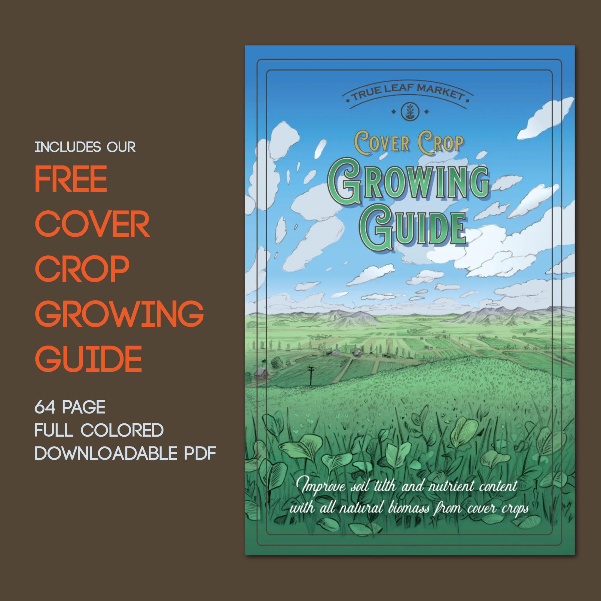 Mountain Valley Seed Co. germination setup illustrates quick establishment of ground cover.