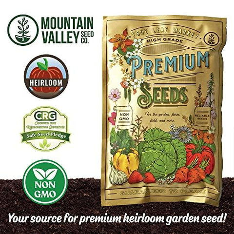 Mountain Valley pollinators-friendly mix supports bees and beneficial insects in pastures.