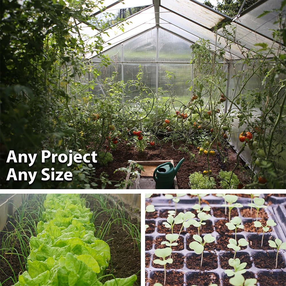 Mountain Valley Seed Company storage-ready einkorn seeds for pantry resilience.