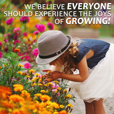 Sunny garden setup using Mountain Valley seeds for vibrant blooms.