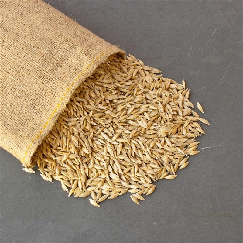 Mountain Valley Seed Company unhulled einkorn seeds for planting in home gardens for sustainable harvest.