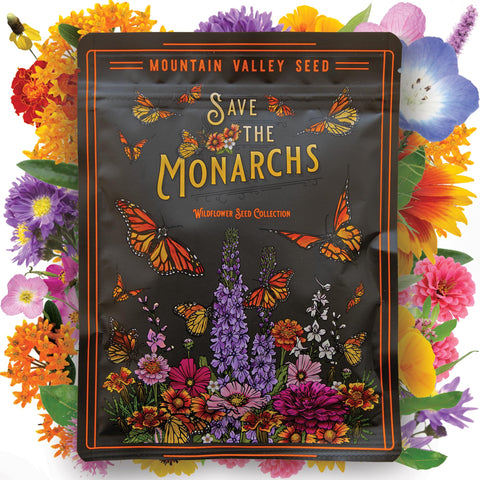 Mountain Valley Seed Company wildflower seed bulk fuels a vibrant pollinator garden.