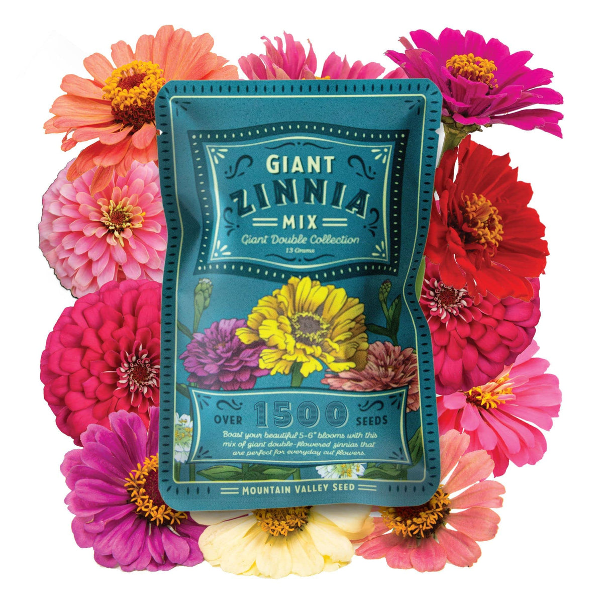 Mountain Valley Seed Company Zinnia California Giant Mix blooms brighten garden beds
