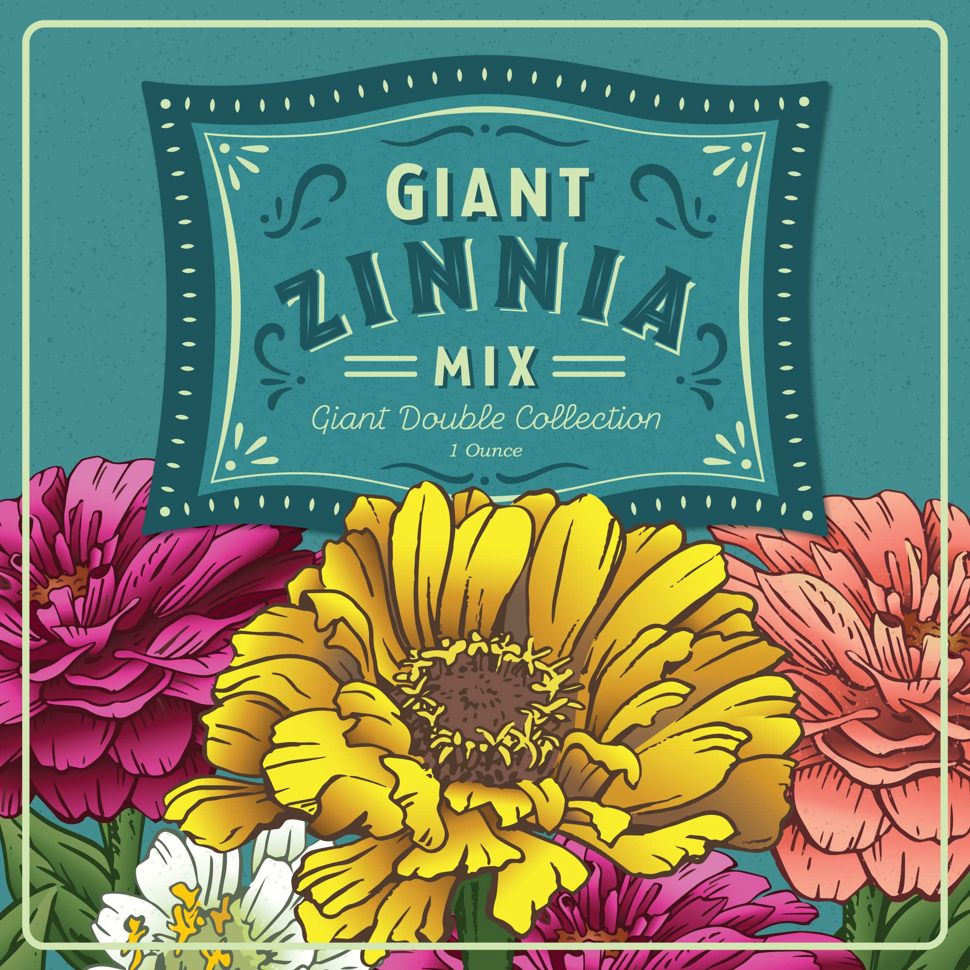 Mountain Valley Seed Company Zinnia full-sun color for summer color