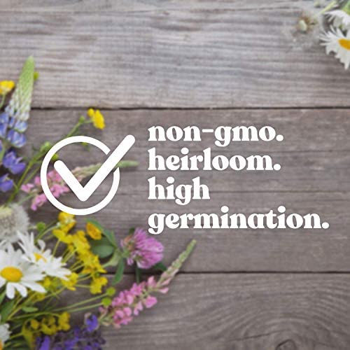 Mountain Valley Seed 100% non-GMO seeds for safe outdoor sowing in shade.