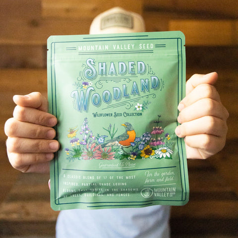 Mountain Valley Seed pollinator-friendly wildflowers attract bees and butterflies in shade.