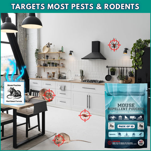 Mouse Repellent Pouches placed in basement corner for indoor, family-safe use.