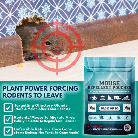 Mouse Repellent Pouches placed in shed for outdoor rodent deterrence.