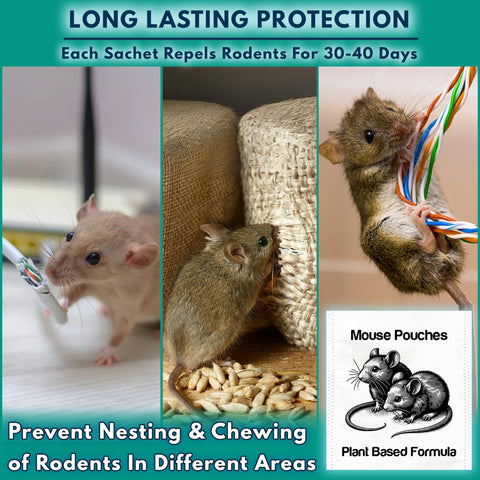 Mouse Repellent Pouches safe around pets and family when used as directed.