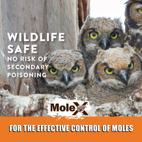 MouseX MoleX 8oz bag is ideal for small to medium yards.