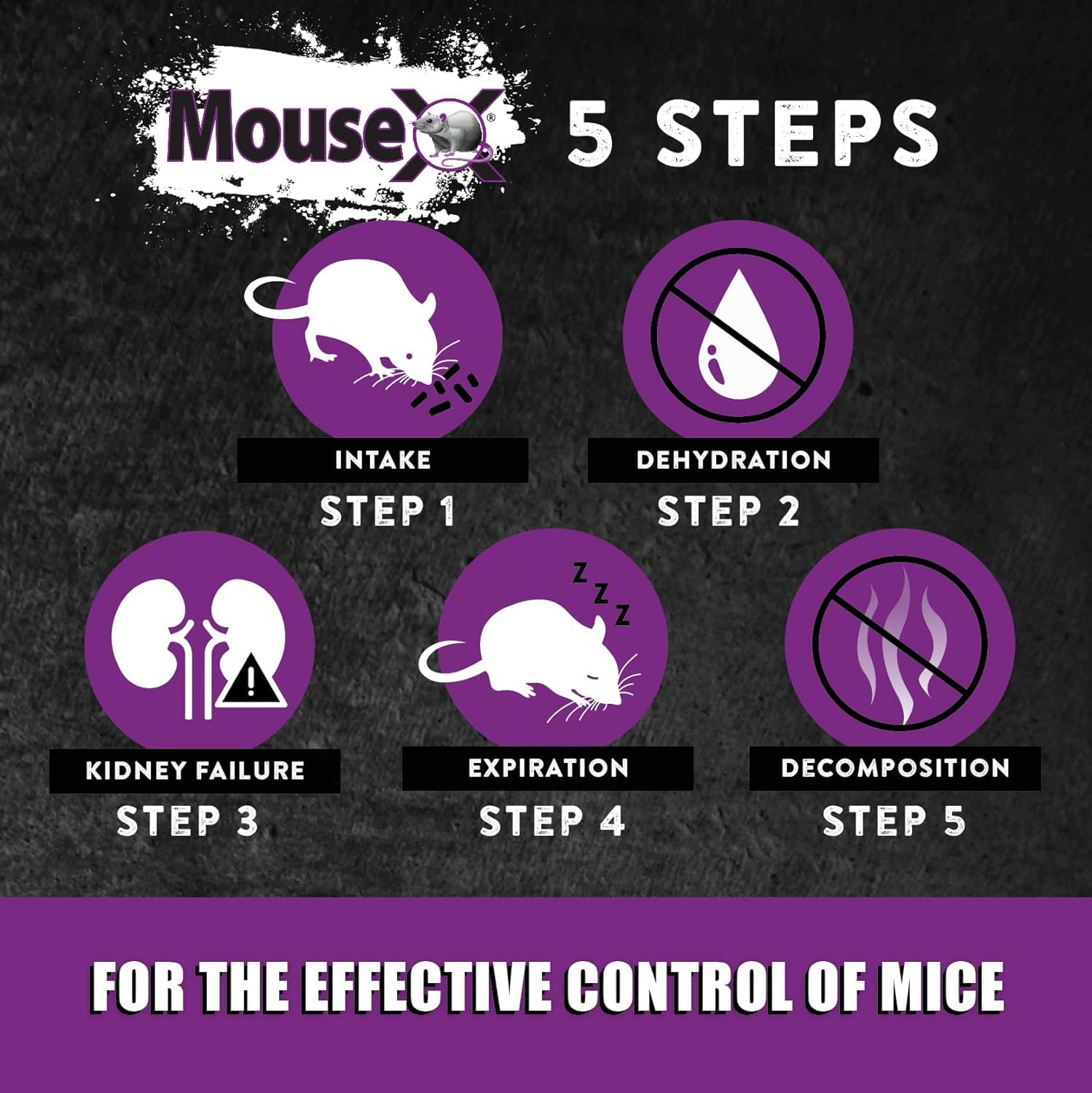 MouseX Throw Packs easy-to-toss design enables quick action when activity is spotted.