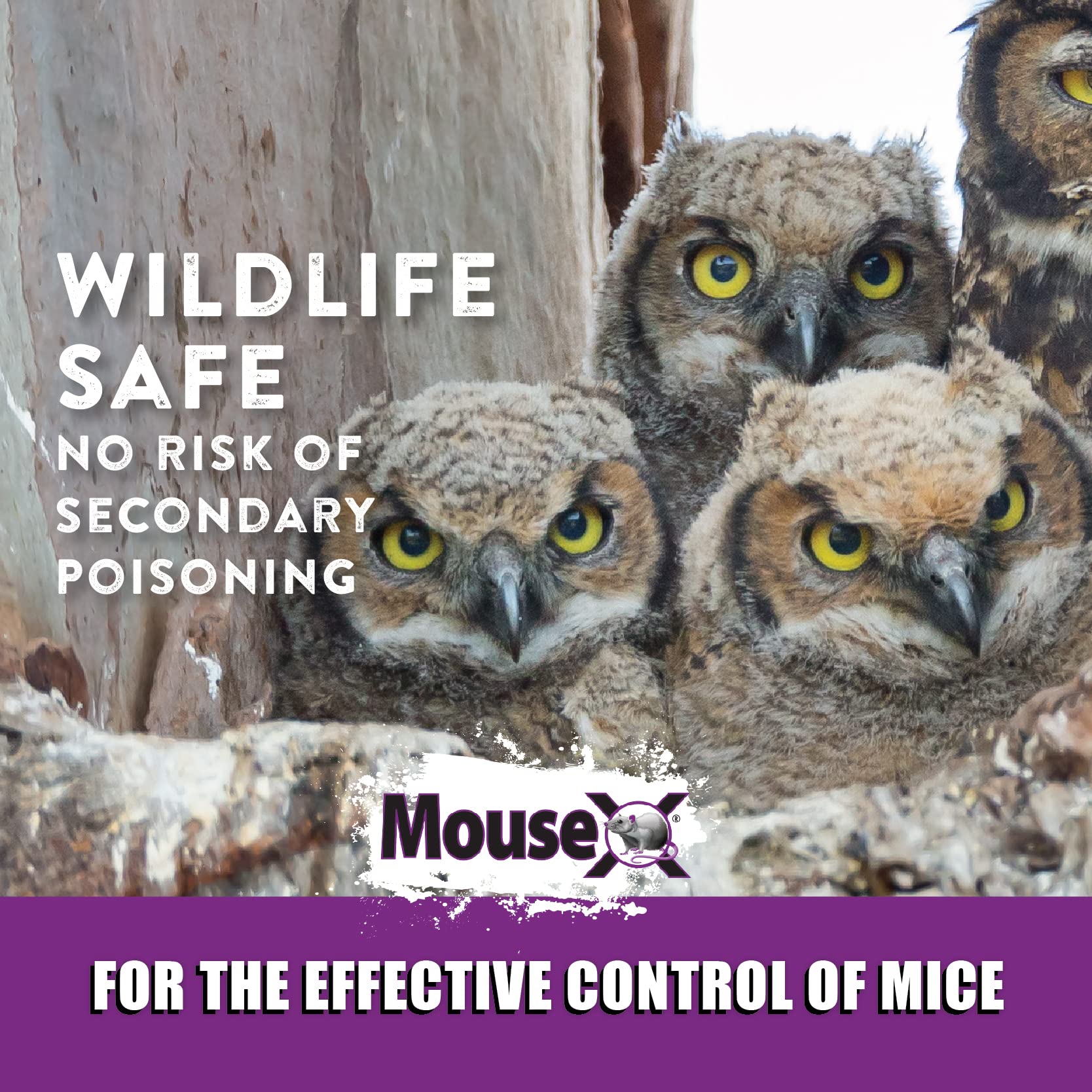 MouseX Throw Packs help eliminate mice and reduce odor up to 90 percent.
