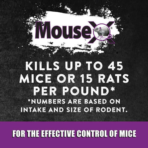 MouseX Throw Packs safe-around-pets branding supports pet-friendly placement.