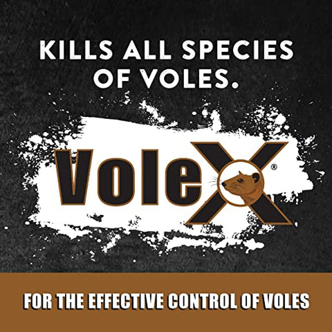 MouseX VoleX applying pellets in a yard for vole reduction.