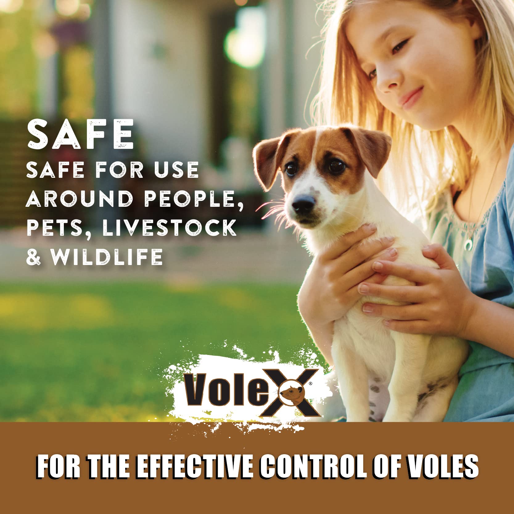 Ornamental trees protected by VoleX in a landscaped area