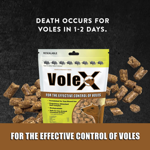 Greenhouse setup with VoleX pellets for year-round vole management