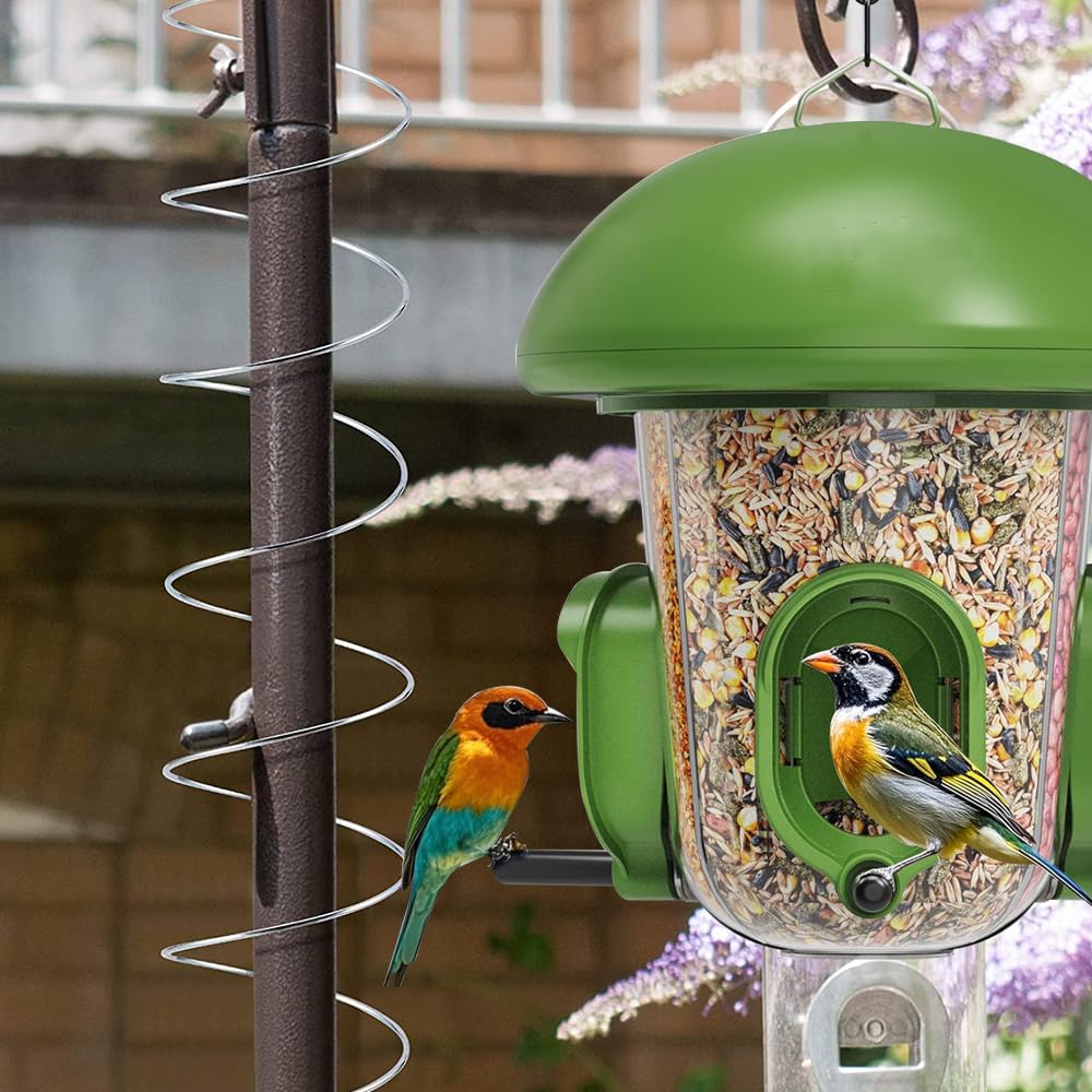 Movbudy outdoor feeder protection on poles keeps seed accessible