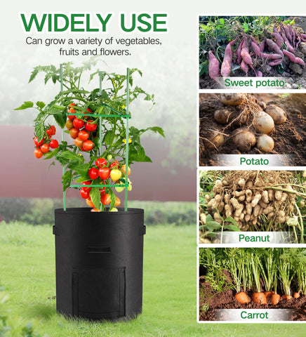 Moyios bags ideal for potatoes and other root crops.