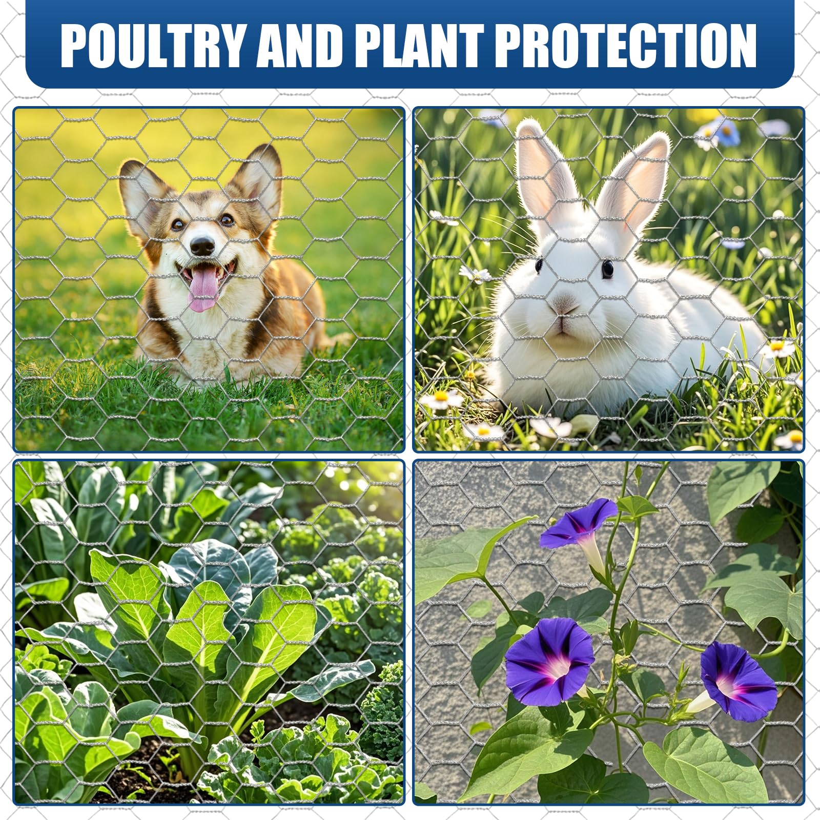 Moyios poultry and dog yard protection with flexible fencing setup.