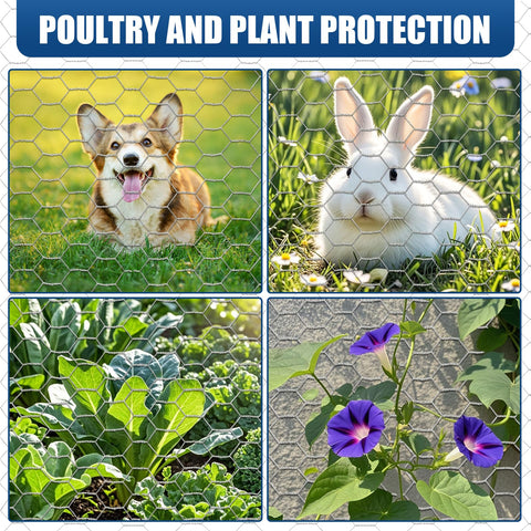 Moyios poultry and dog yard protection with flexible fencing setup.