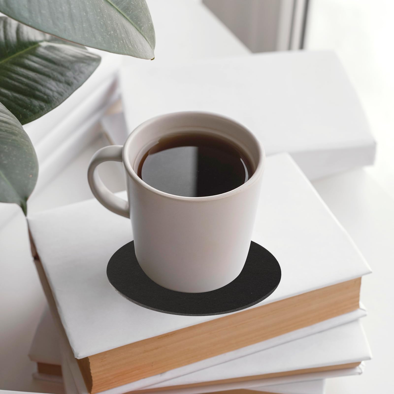 Mozeat Lens reversible fabric coaster under an indoor plant