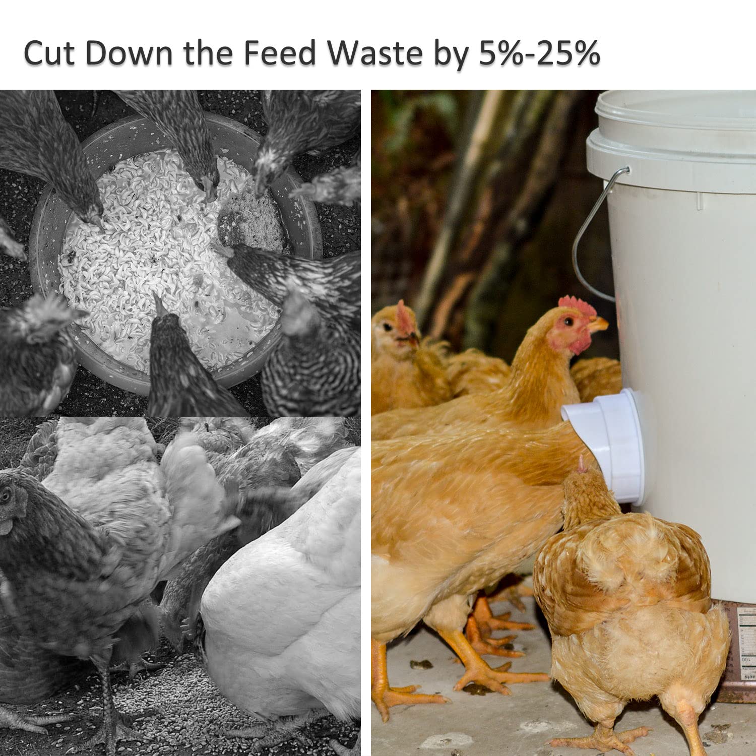 Mozoba chicken feeder ports reducing spill and waste in the coop.