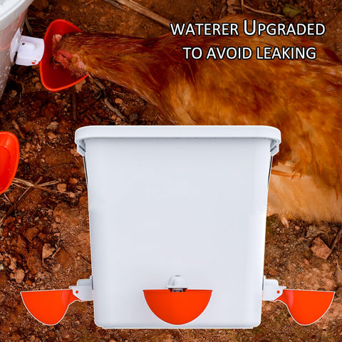 Mozoba chicken water cups provide easy access to fresh water for flock.