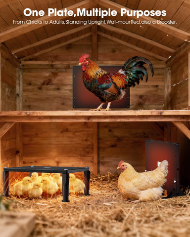 MQAAUP wall-mount heater saving coop space while warming.