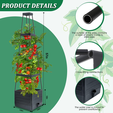 MQFORU adjustable height trellis supports plants at various growth stages