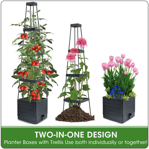 MQFORU adjustable-height trellis layers adapt as plants grow