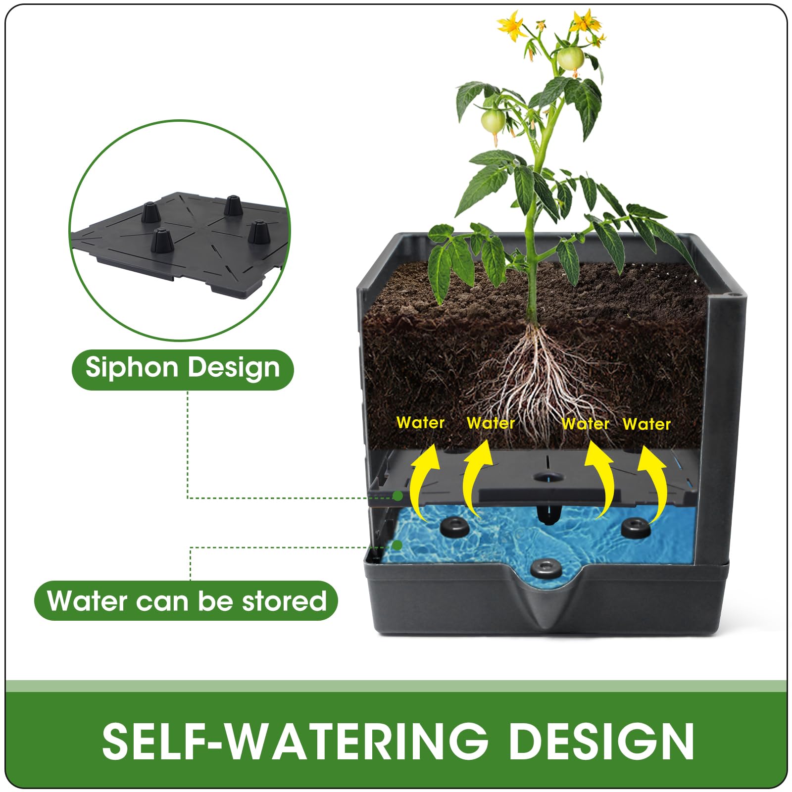 MQFORU adjustable-height trellis adapts to plant growth through seasons.