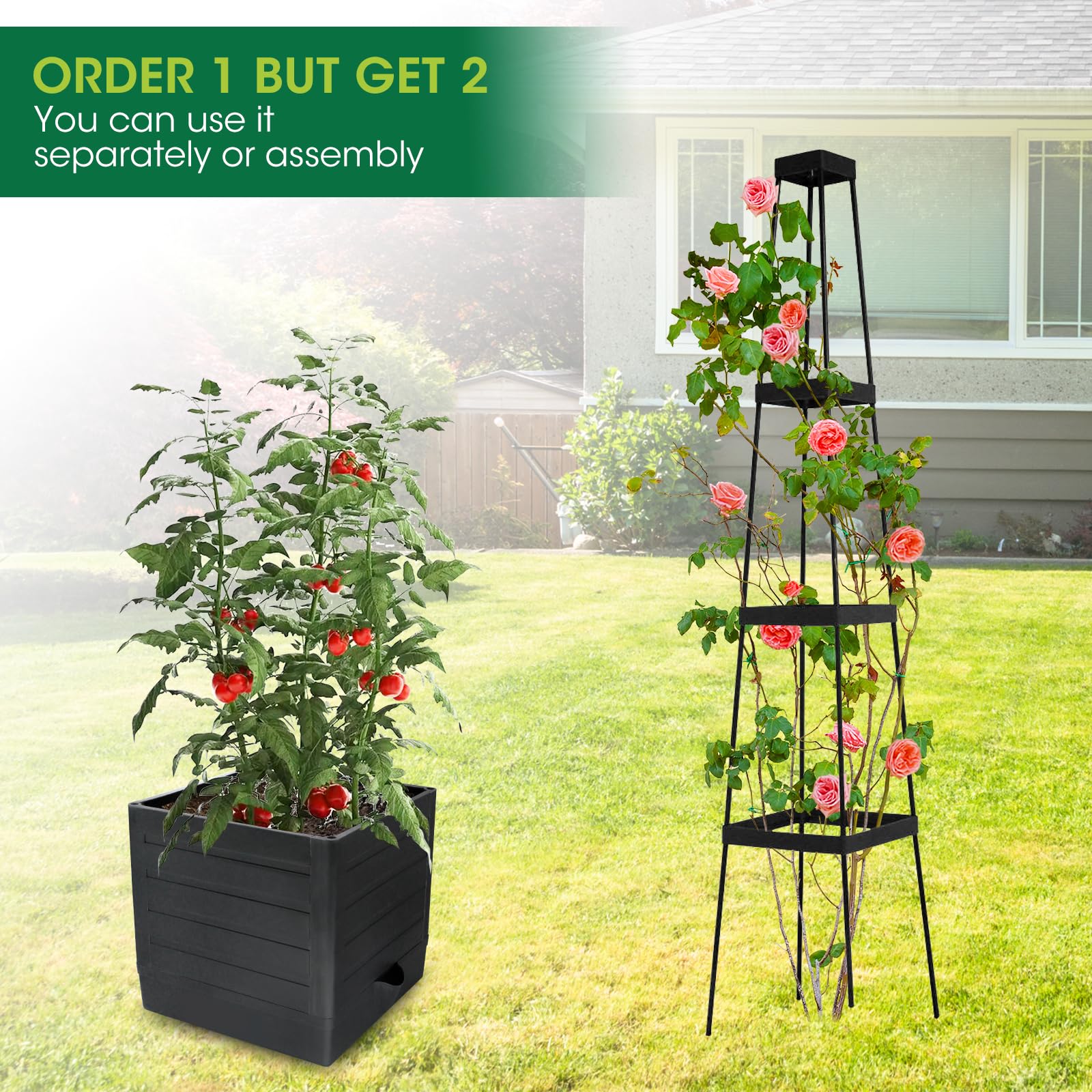 MQFORU drainage system helps prevent overwatering and root issues